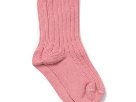 BONTON Pink Socks Rib Supply